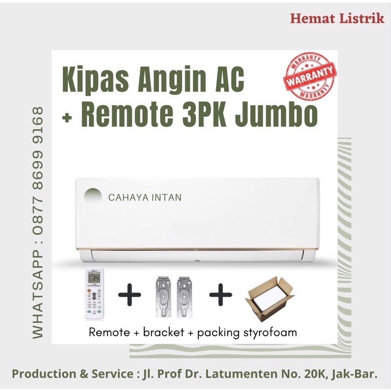Kipas Angin Model AC 3 PK Jumbo Remote (Polos)