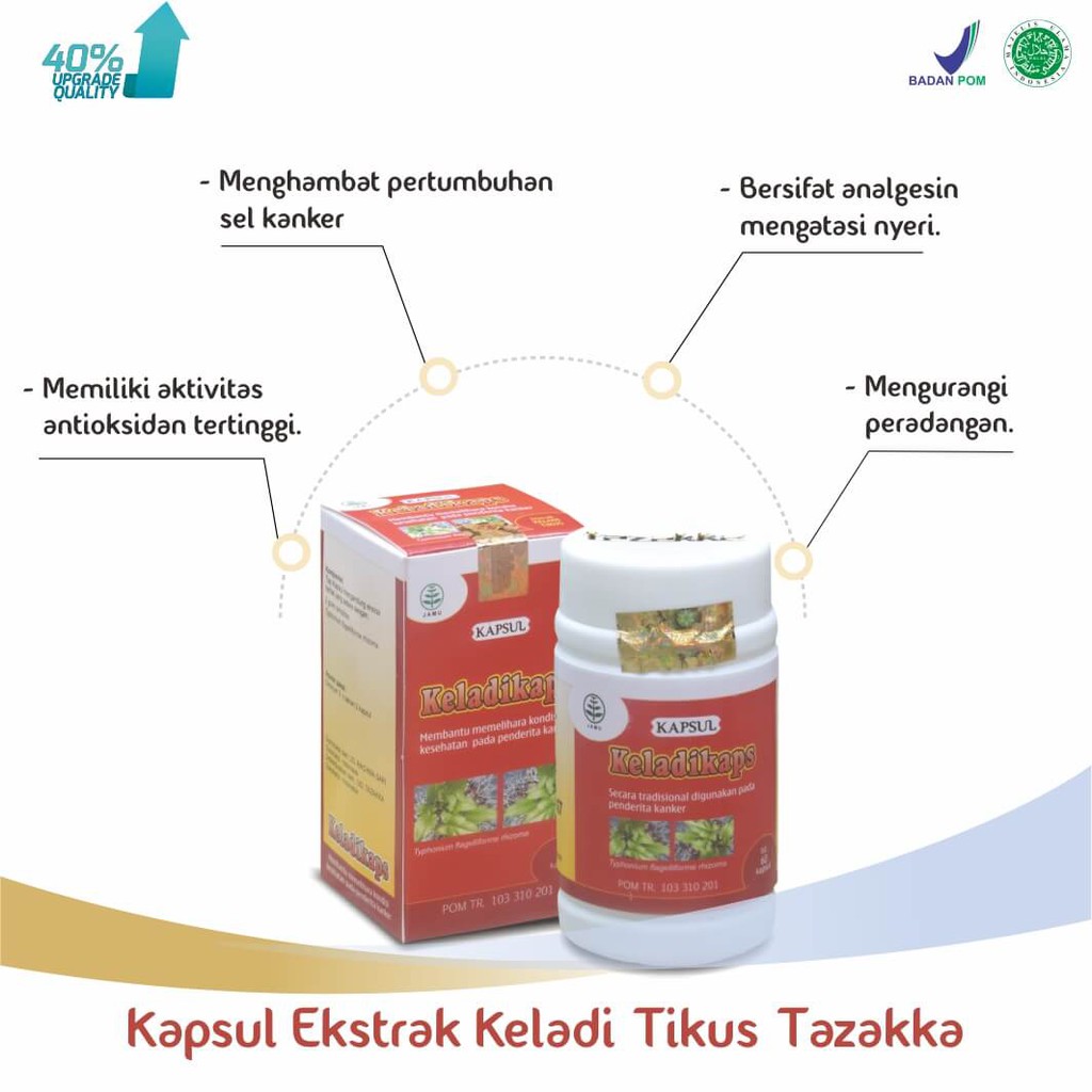 KAPSUL KELADI TIKUS Obat Kanker Tumor Herbal Tazakka ORIGINAL HALAL BPOM