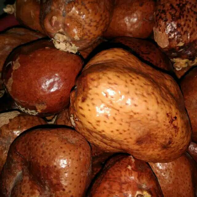 

Buah zuriat Mesir