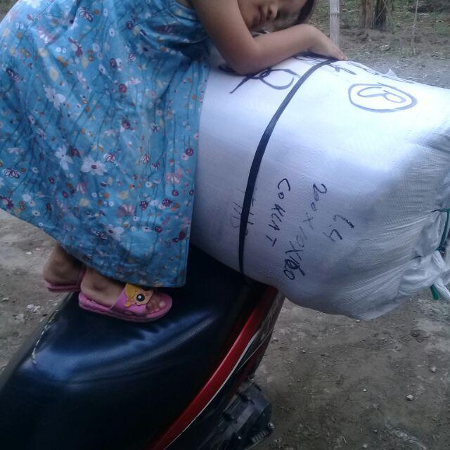 Kasur Inoac Tebel 10cm Garansi 10th Destinasi D.23