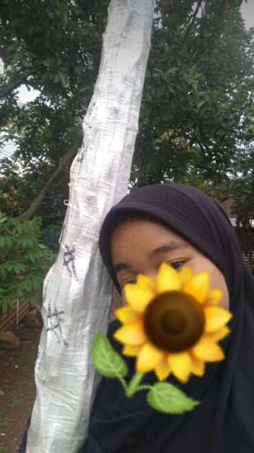 1 Btg Bambu Ulir Polos Natural 200cm (min Order 15 Btg Bisa Mix)