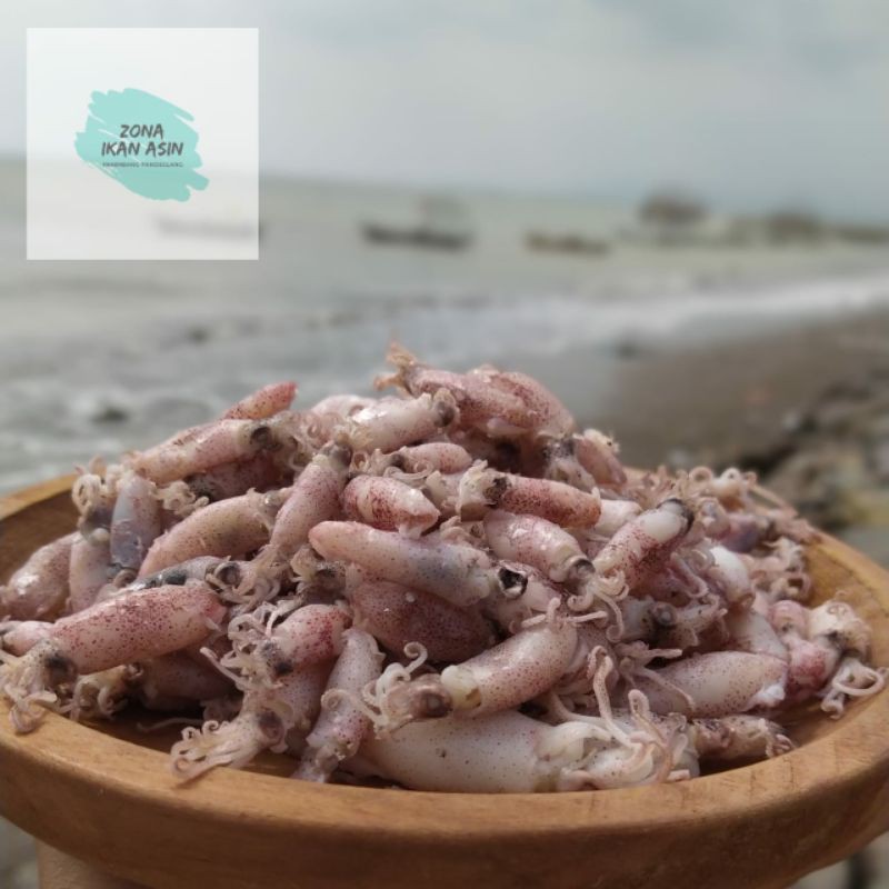 

Baby Cumi Asin/Rebus Size 0,5-3 500 gr.