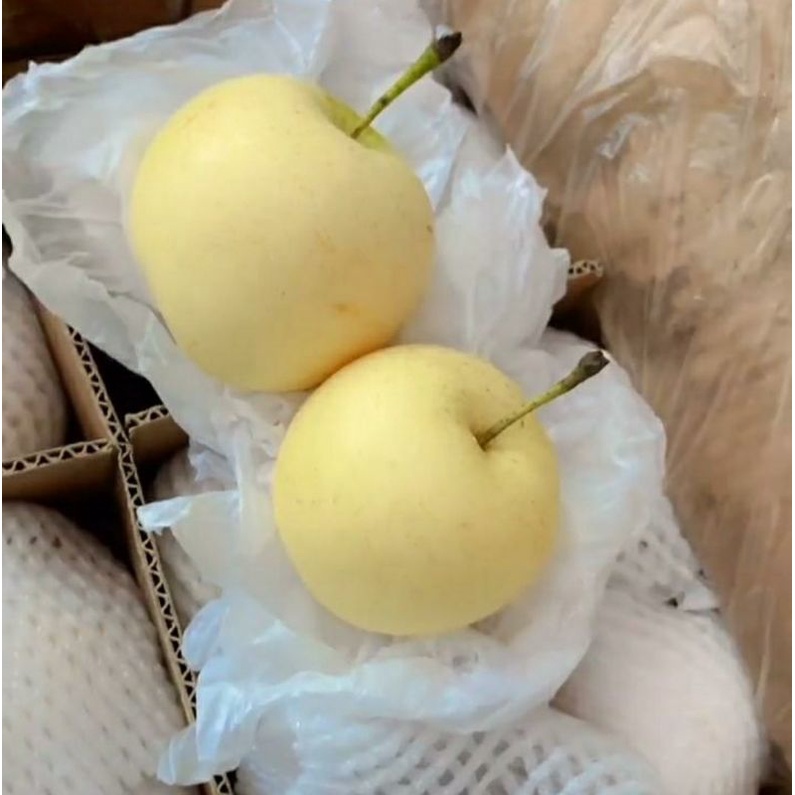 

PEAR CENTURY/kg
