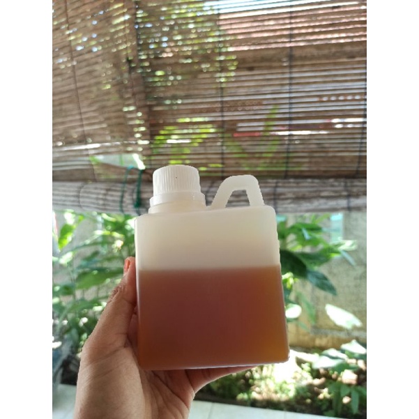 

Madu Hutan Sumatera (Raw Honey) 500gr