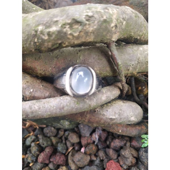 Widuri bulan air berassi