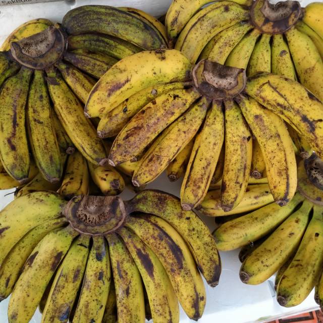 

Pisang Barangan Manis 1 Sisir