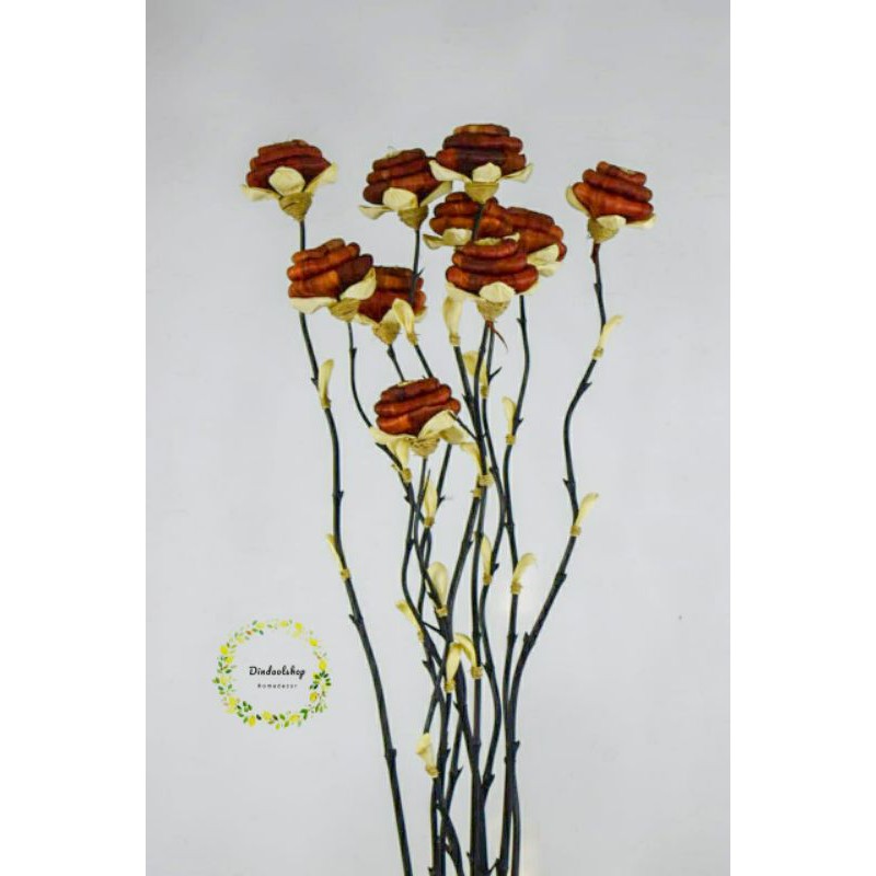 5 Batang Bambu Ulir Cendani Klobot Gelungan Kering Cokelat Tua