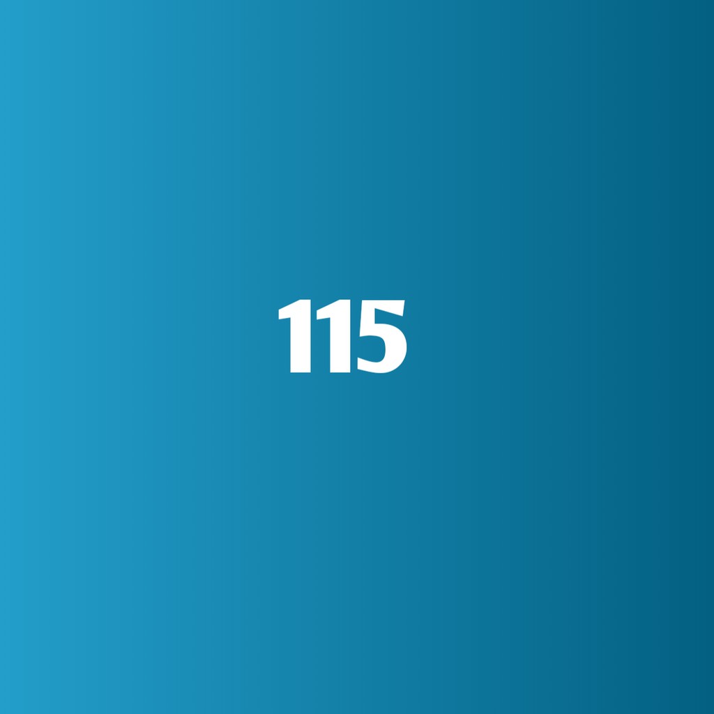 

BON CUSTOMER 115