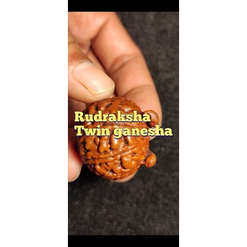 liontin rudraksha twin ganesha besar