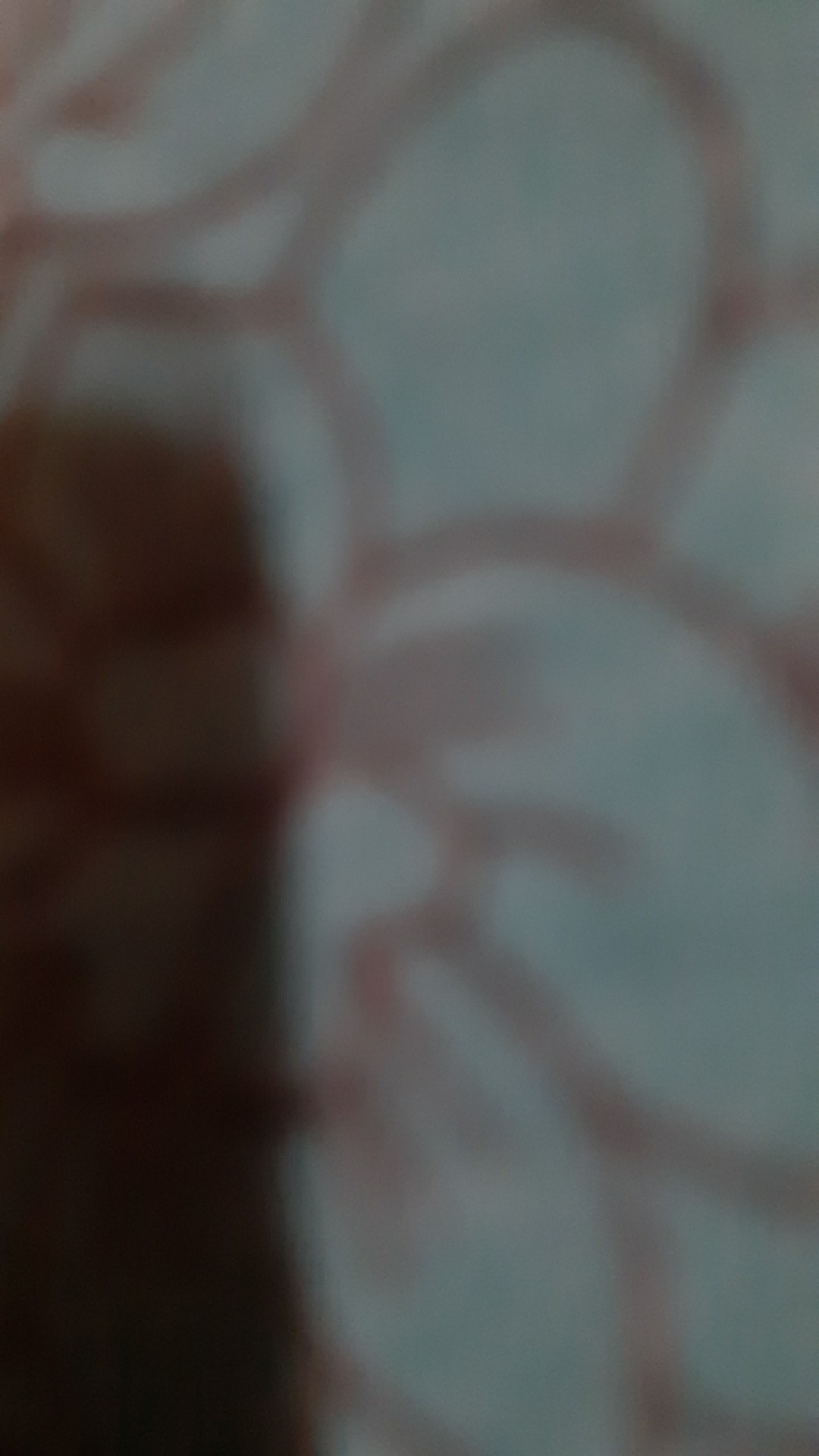 Wajan Maxim Valentino 36 Cm