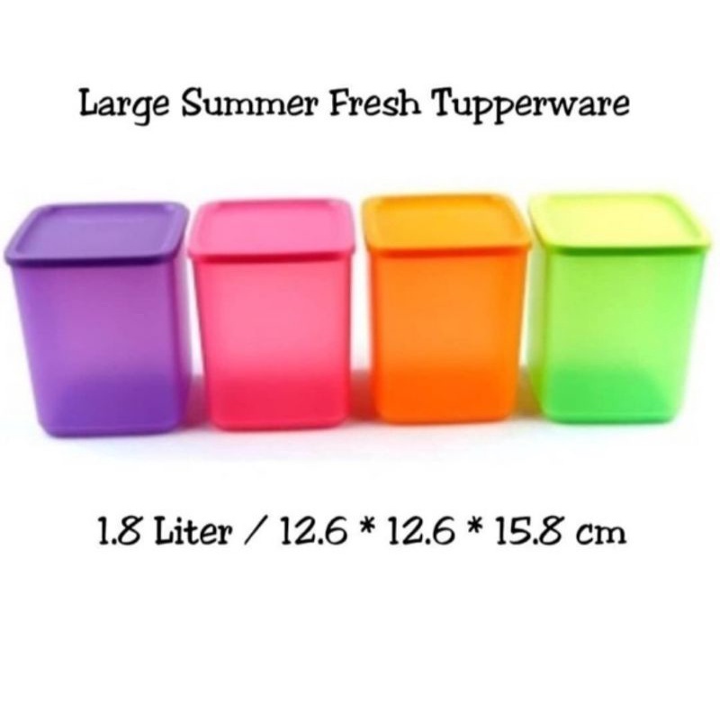 Large summer fresh Tupperware
