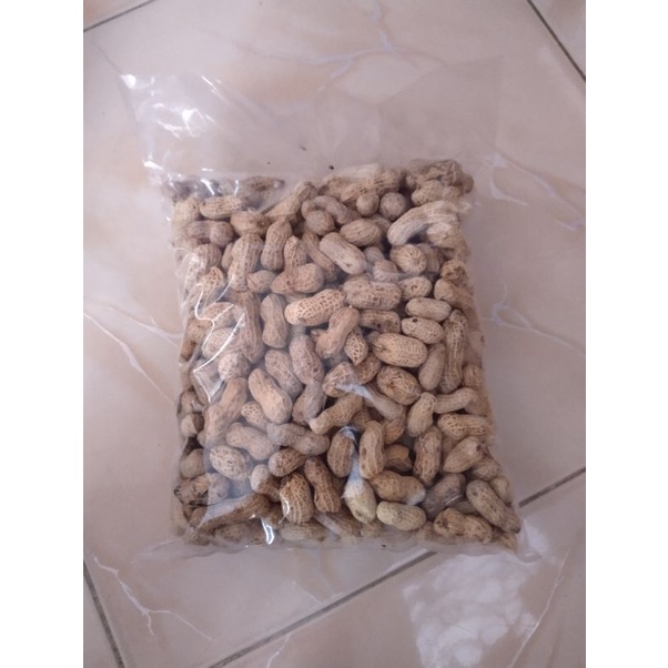 

kacang kulit
