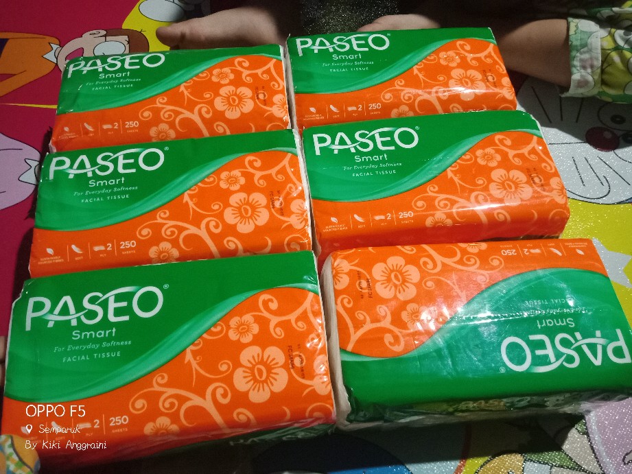 Tisue  Paseo 250 Ply