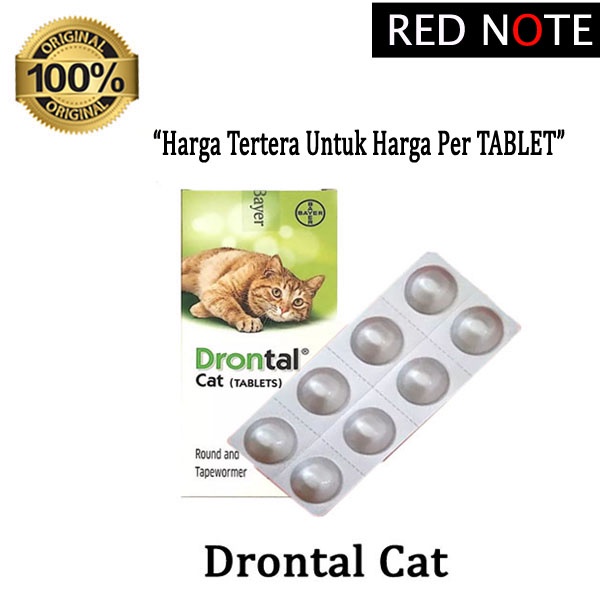 Obat Drontal Cat