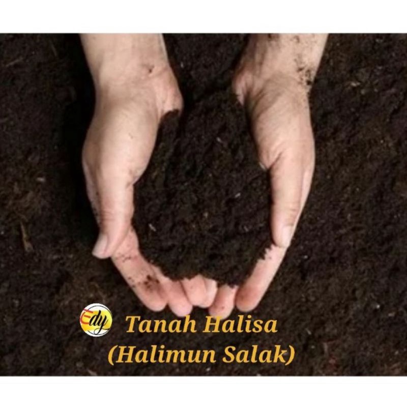 Tanah humus paket  10kg