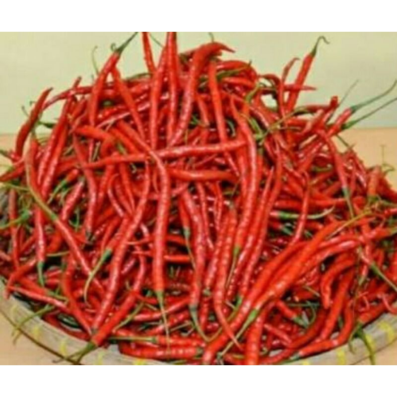 

Cabe keriting fresh/250gr