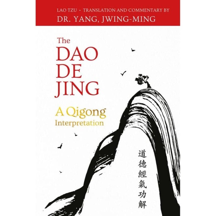 BUKU The Dao De Jing: A Qigong Interpretation