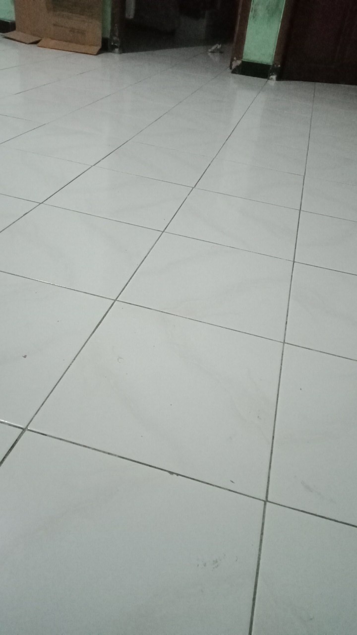 Lady Rose Sprei King Bantal 2 (180x200) - Lena