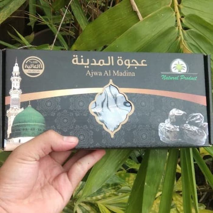 

paling laris kurma ajwa