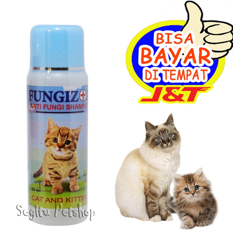 SHAMPO KUCING ANTI JAMUR SAMPO KITTEN SCABIES FUNGIZOL