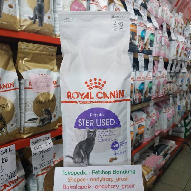 royal canin kitten sterilised 4 kg