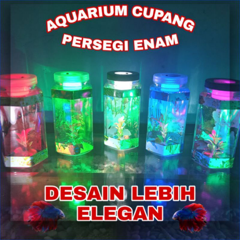 Aquarium Mini Ikan Cupang  Bulat Unik Murah Hiasan Dekorasi Kamar Rumah Lampu Led Tidur Keren