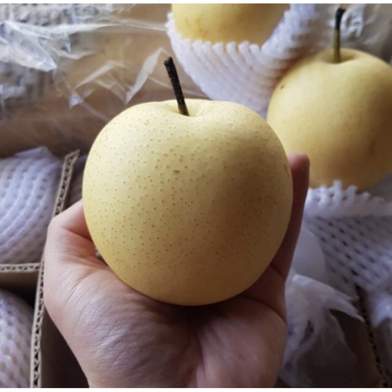 

Pear Century Manis
