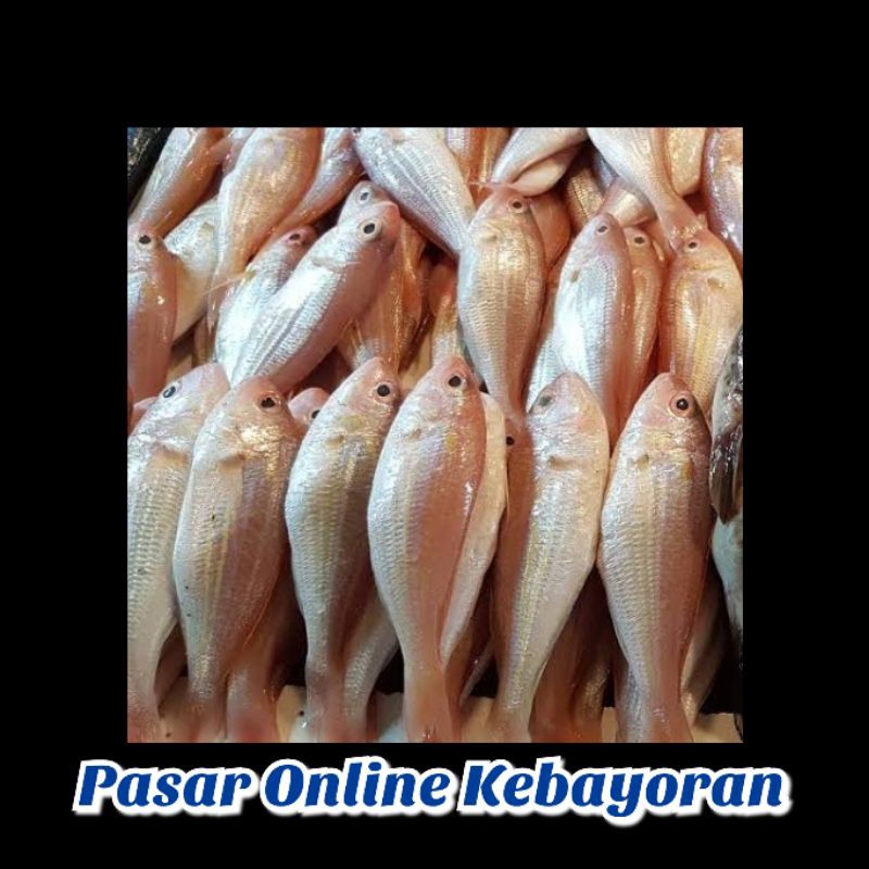 

Ikan Kurisi Segar - 1 Kg ( JABODETABEK )