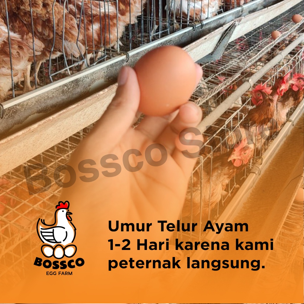 Telur Ayam Negeri FRESH/ telor ayam negri per 1 tray telur ayam premium telor ayam premium telur segar telur ayam segar telur organik telur bebas bakteri telor ayam segar telor organik telor ayam segar telur omega telor omega