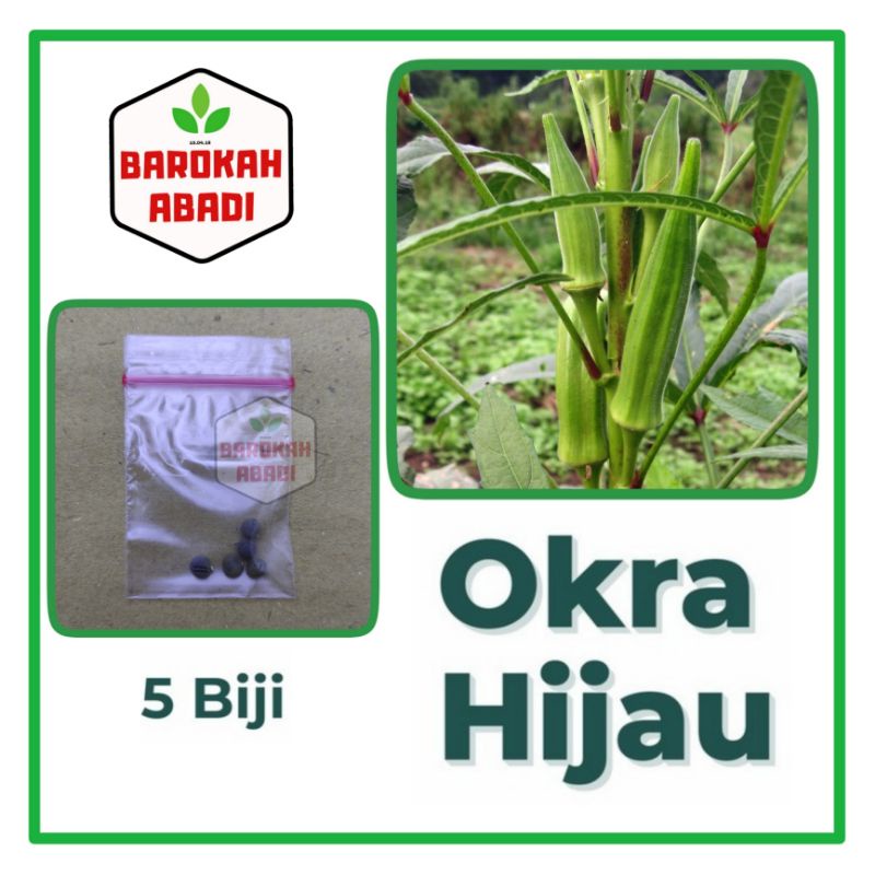 5 Benih Okra Hijau Greenie F1 Hibrida Bibit Sayuran Known You Seed Tanaman Sayur Unggul