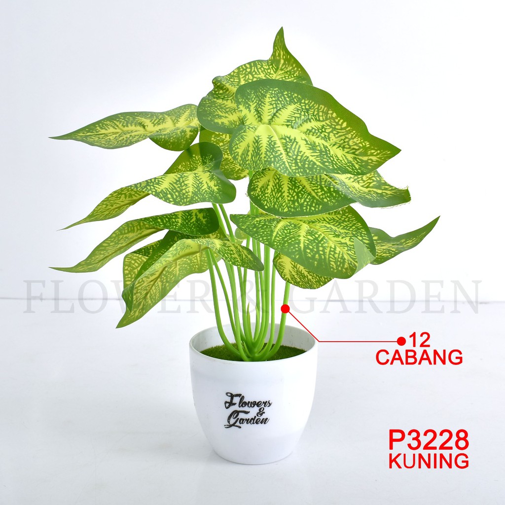 COD/HMPU TANAMAN HIAS TANAMAN DAUN PLASTIK TANAMAN HIAS RUMAH BUNGA HIAS BUNGA PLASTIK BUNGA P3228-5