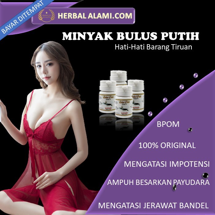 PEMBESAR PAYUDARA AMPUH PERMANEN PENGENCANG PAYUDARA YG KENDUR BPOM MINYAK BULUS PEMBESAR PAYUDARA 1