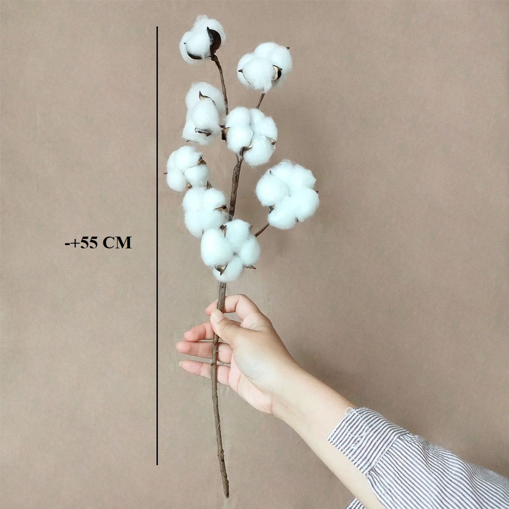 Artificial Cotton Flower 8 Flowers Bunga Kapas Cabang Palsu Hias Dekorasi