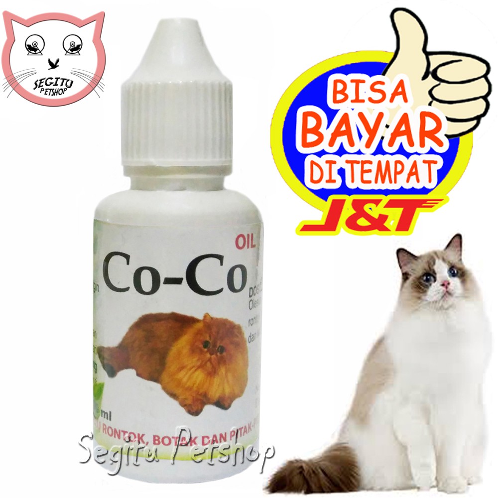 Obat Kucing Pitak Botak Penumbuh Bulu Rontok Co-Co Oil  Shopee 