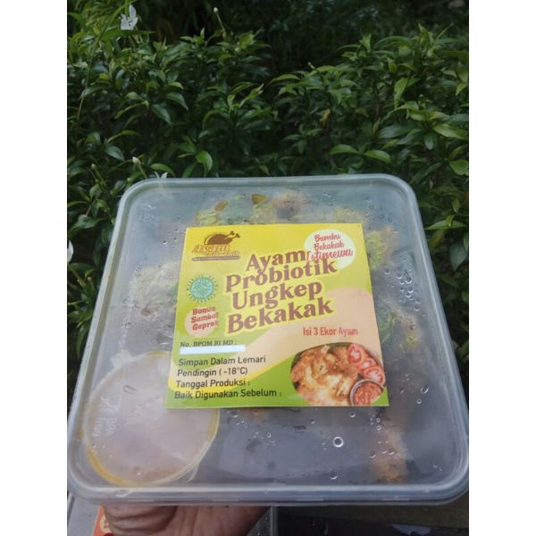 Ayam Bekakak Ungkep Probiotik Bumbu kuning isi 3 ekor ayam/Box. frozen food, Halal.