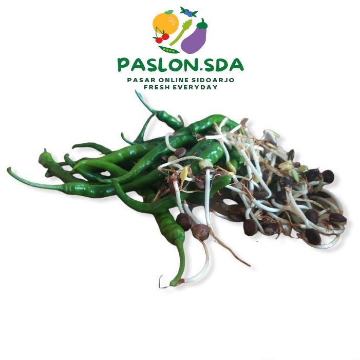 

CABE IJO ALE