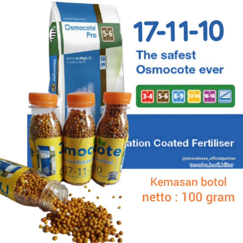 osmocote 17-11-10 100g, pupuk osmocote dekastar, pupuk aglonema, pupuk slow release merah, pupuk bun