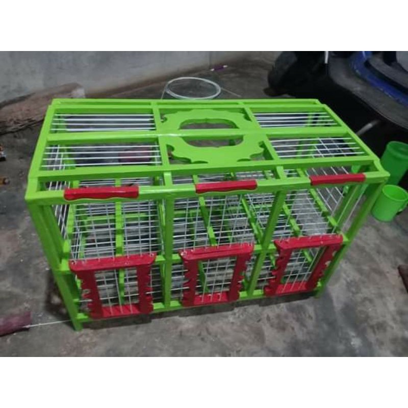 dondang merpati 6 pintu