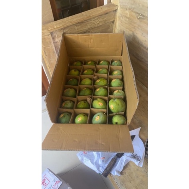 

mangga alpukat