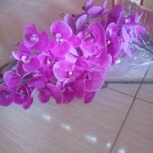 (cod)anggrek Lateks Real Touch