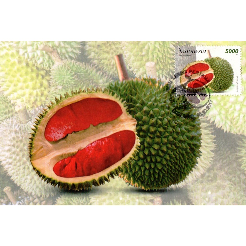 

Maxi Card 2017 Perangko Indonesia Seri Buah Nusantara Durian Merah