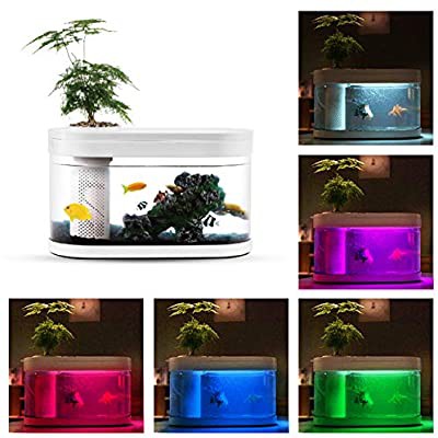 GEOMETRY FISH TANK MINI - AQUARIUM MINI