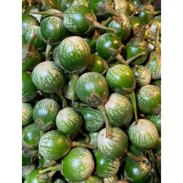 

Terong LaLap/250gram-500gram-1000gram