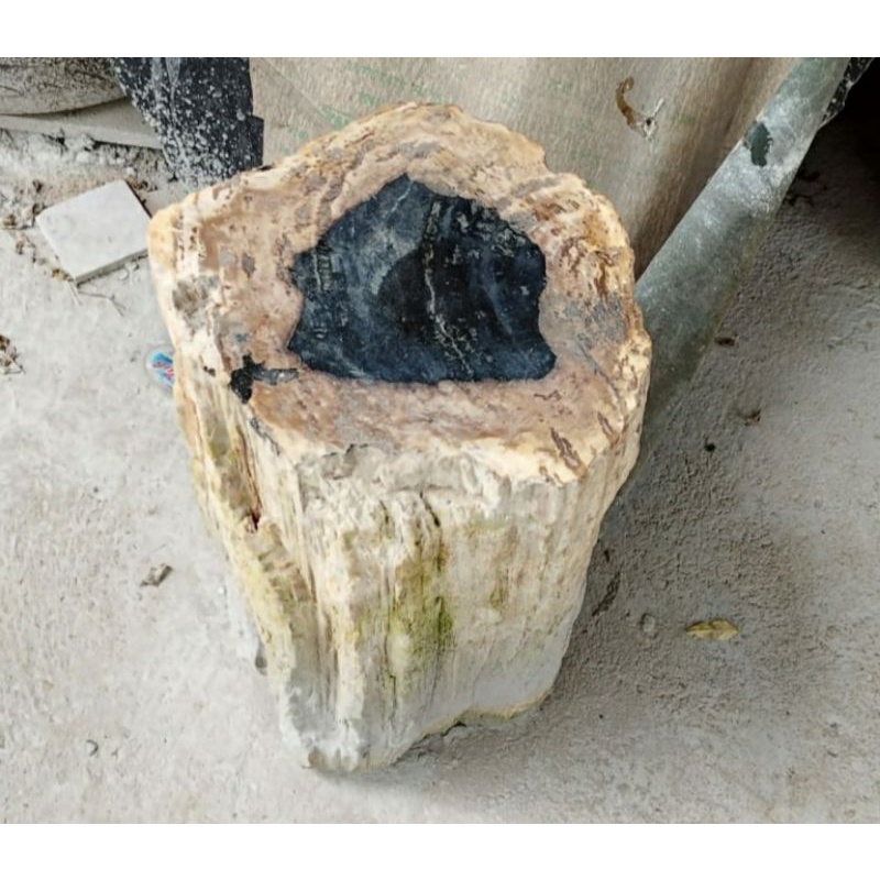 Kursi Batu Fosil Kayu Purba