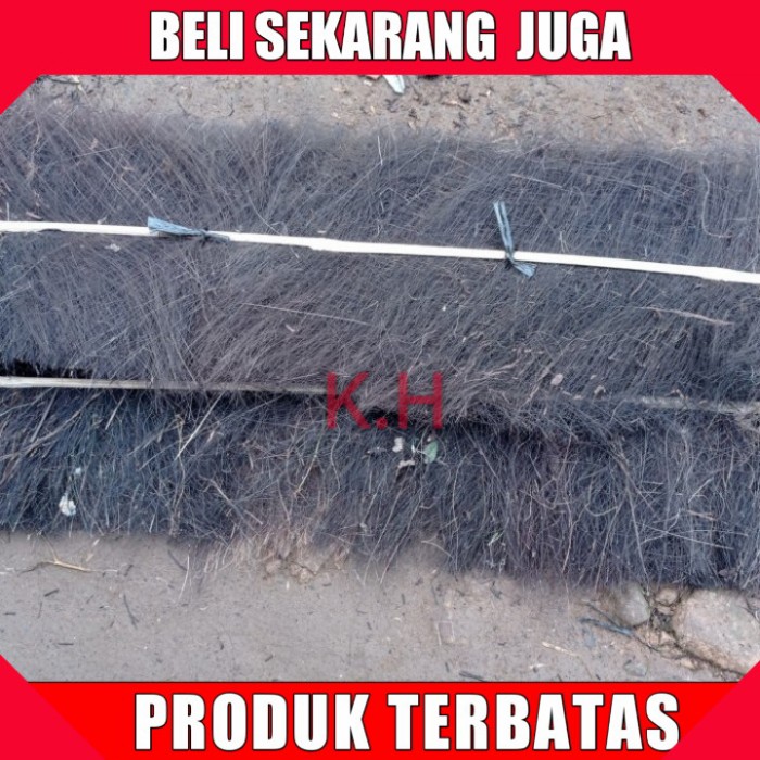 

IJUK PIJAHAN IKAN 100cm