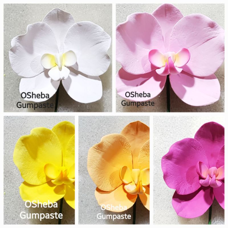 

osheba gumpaste bunga anggrek bulan MOTH -11