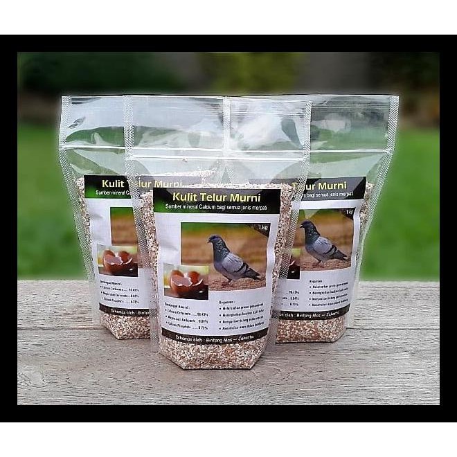 GRIT KULIT TELUR KODE 872