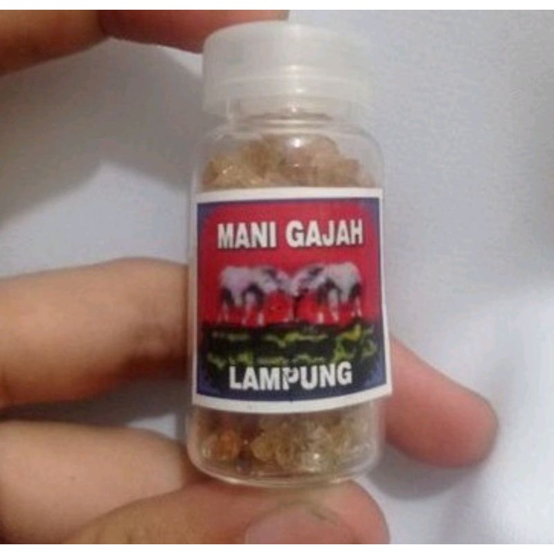 Koleksi Mani gajah Crystal lampung