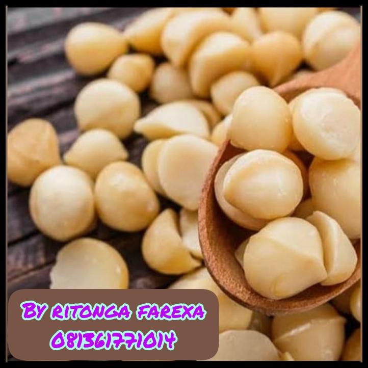 

DISKON TERBATAS !!! PREMIUM MACADAMIA NUT (RAW) / KACANG MAKADAMIA NUT 250GRAM TERLARIS
