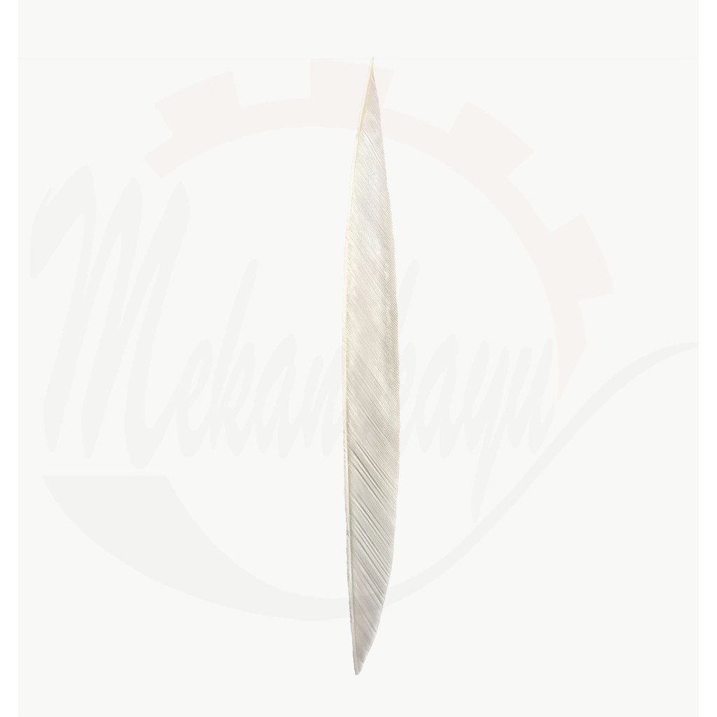 Bulu entog wing sayap anak panah